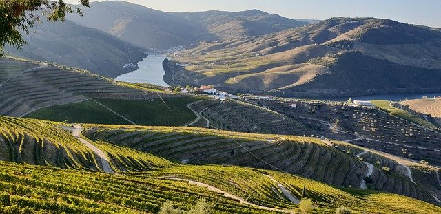 Douro valley