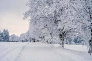 Portugal in winter